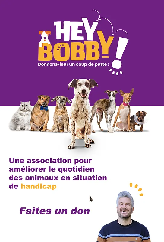 Une association pour améliorer le quotidien des animaux en situation de handicap