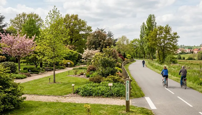 Des arboretums sur la voie verte de l'Ennemane